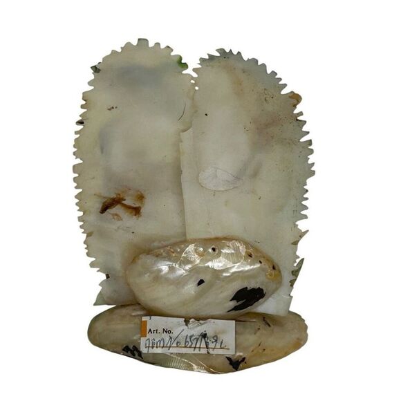 NWT Handcarved Tourist Mother Of Pearl Flamingo Deco Shell Art Multicolor Signed - Picture 7 of 14